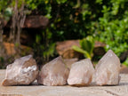 Natural Smokey Phantom Quartz Crystals x 35 From Luena, Congo - Toprock Gemstones and Minerals 