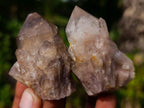 Natural Smokey Phantom Quartz Crystals x 35 From Luena, Congo - Toprock Gemstones and Minerals 