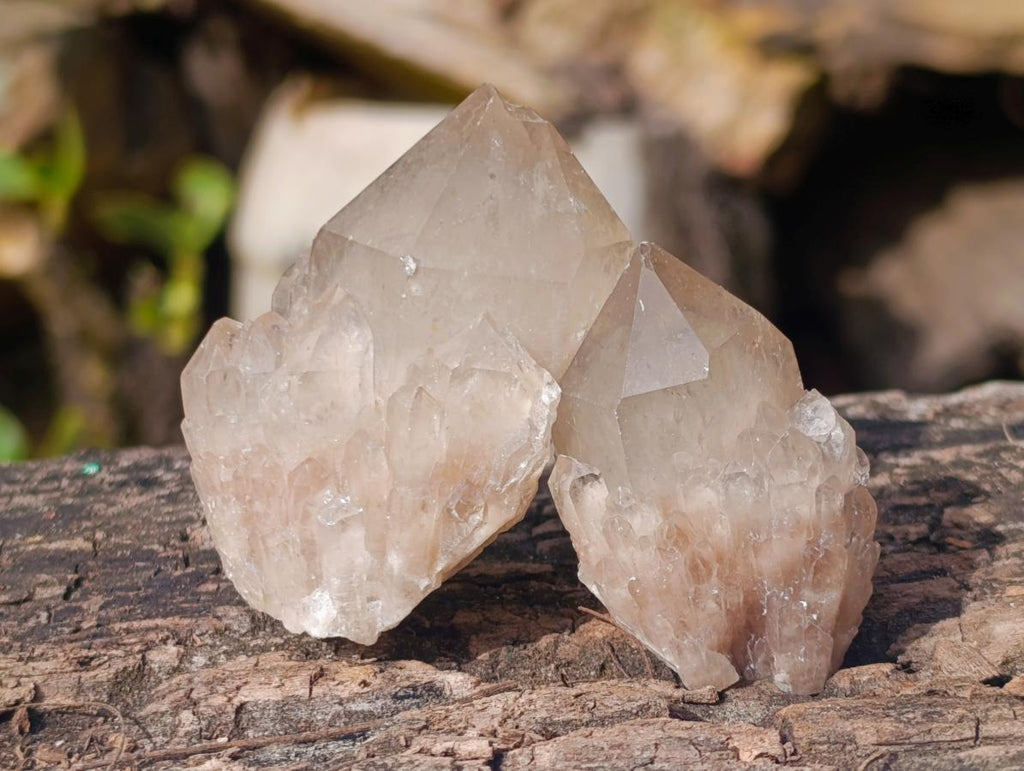 Natural Smokey Phantom Quartz Crystals x 35 From Luena, Congo - Toprock Gemstones and Minerals 