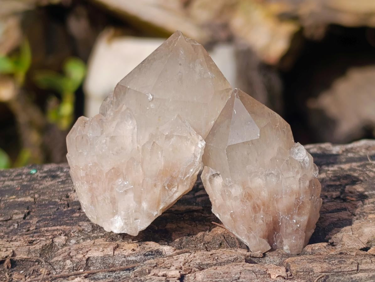 Natural Smokey Phantom Quartz Crystals x 35 From Luena, Congo - Toprock Gemstones and Minerals 
