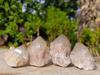 Natural Smokey Phantom Quartz Crystals x 35 From Luena, Congo - Toprock Gemstones and Minerals 