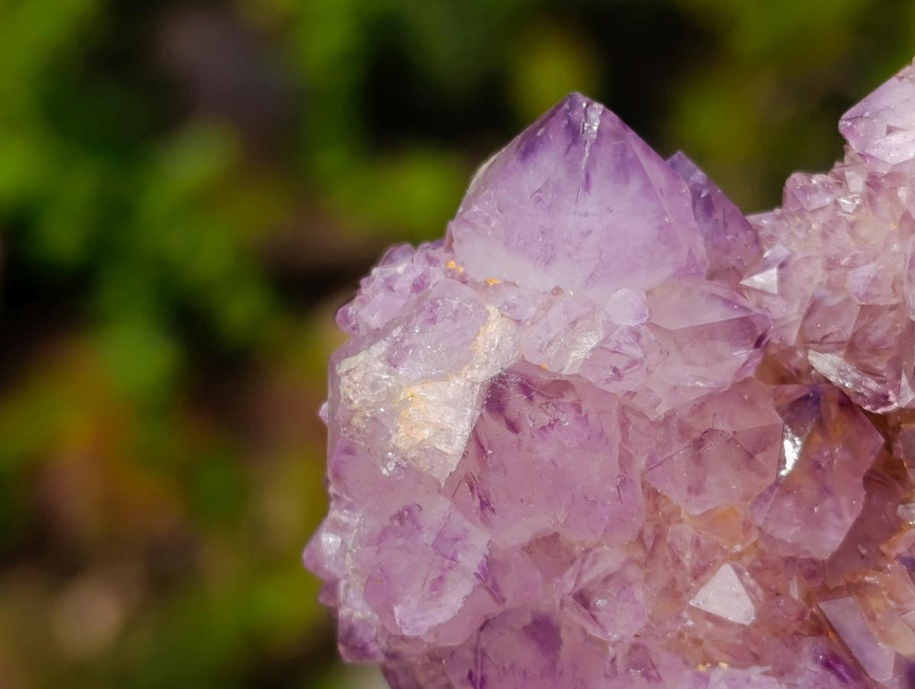 Natural Large Spirit Amethyst Cluster x 1 From Boekenhouthoek, South Africa - Toprock Gemstones and Minerals 