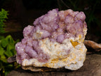 Natural Large Spirit Amethyst Cluster x 1 From Boekenhouthoek, South Africa - Toprock Gemstones and Minerals 
