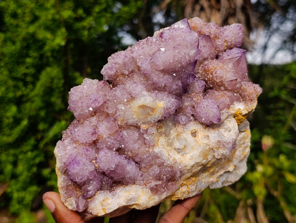 Natural Large Spirit Amethyst Cluster x 1 From Boekenhouthoek, South Africa - Toprock Gemstones and Minerals 