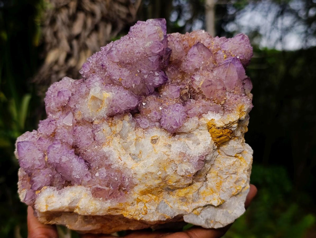 Natural Large Spirit Amethyst Cluster x 1 From Boekenhouthoek, South Africa - Toprock Gemstones and Minerals 