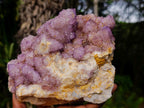 Natural Large Spirit Amethyst Cluster x 1 From Boekenhouthoek, South Africa - Toprock Gemstones and Minerals 