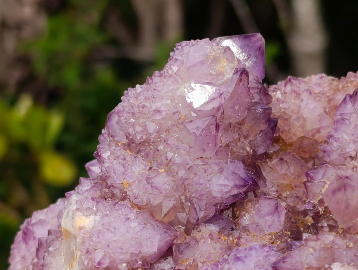 Natural Large Spirit Amethyst Cluster x 1 From Boekenhouthoek, South Africa - Toprock Gemstones and Minerals 