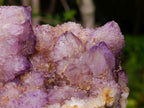 Natural Large Spirit Amethyst Cluster x 1 From Boekenhouthoek, South Africa - Toprock Gemstones and Minerals 