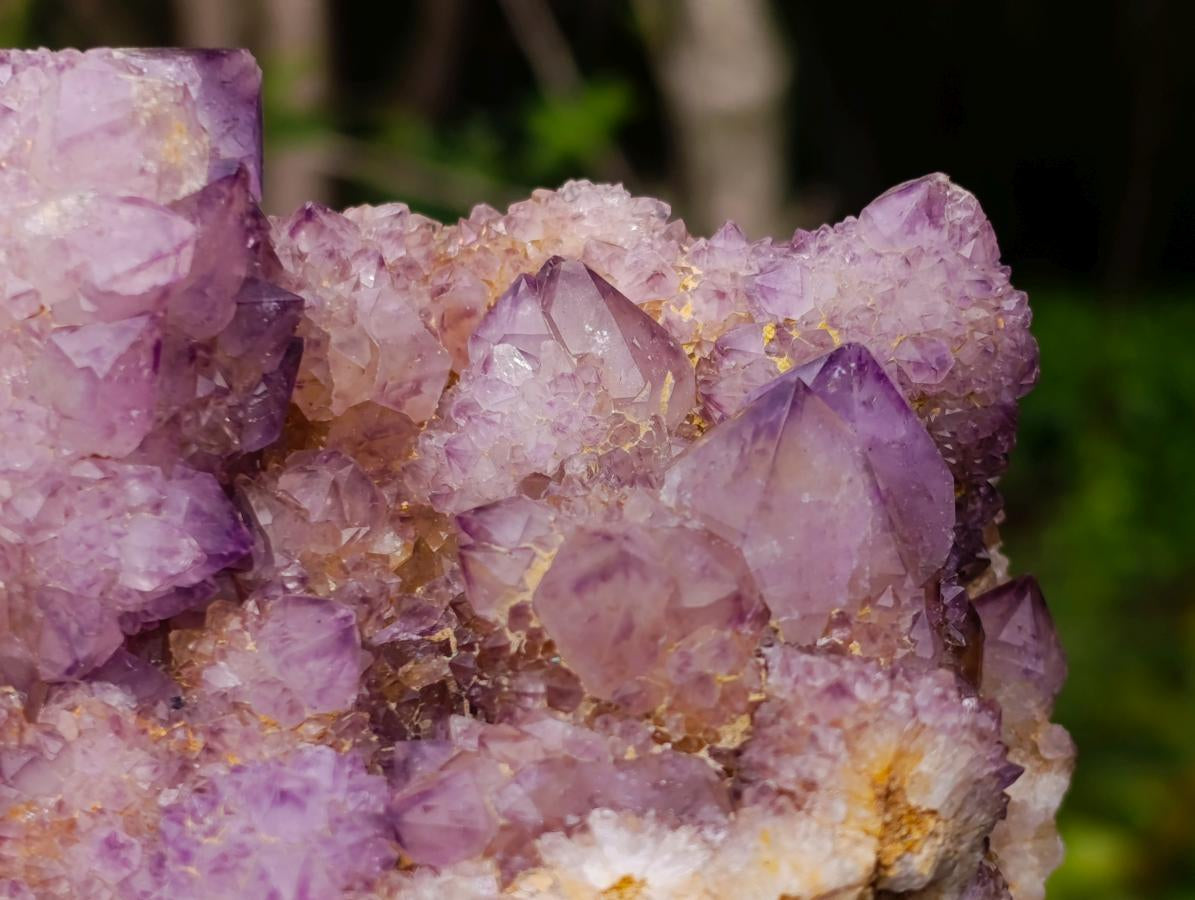 Natural Large Spirit Amethyst Cluster x 1 From Boekenhouthoek, South Africa - Toprock Gemstones and Minerals 