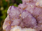 Natural Large Spirit Amethyst Cluster x 1 From Boekenhouthoek, South Africa - Toprock Gemstones and Minerals 