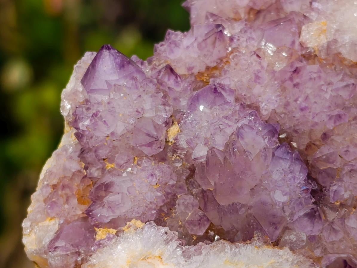 Natural Large Spirit Amethyst Cluster x 1 From Boekenhouthoek, South Africa - Toprock Gemstones and Minerals 