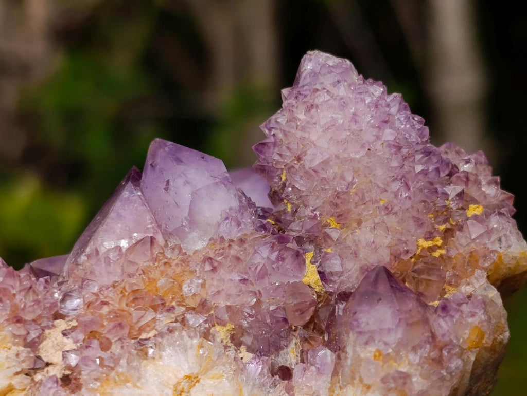 Natural Large Spirit Amethyst Cluster x 1 From Boekenhouthoek, South Africa - Toprock Gemstones and Minerals 