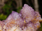 Natural Large Spirit Amethyst Cluster x 1 From Boekenhouthoek, South Africa - Toprock Gemstones and Minerals 