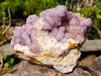 Natural Large Spirit Amethyst Cluster x 1 From Boekenhouthoek, South Africa - Toprock Gemstones and Minerals 