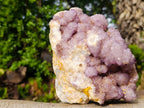 Natural Large Spirit Amethyst Cluster x 1 From Boekenhouthoek, South Africa - Toprock Gemstones and Minerals 