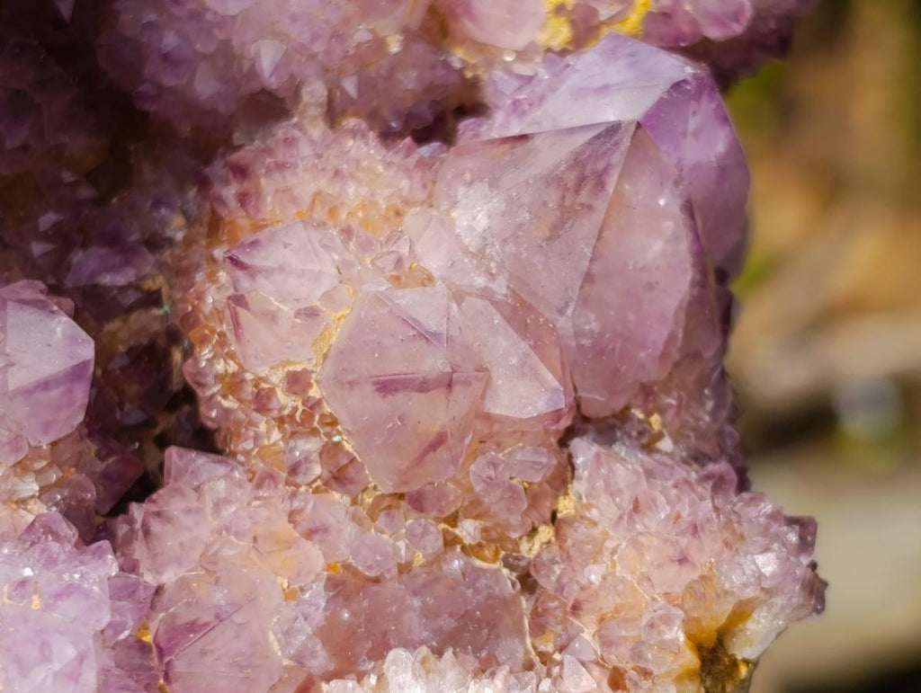 Natural Large Spirit Amethyst Cluster x 1 From Boekenhouthoek, South Africa - Toprock Gemstones and Minerals 