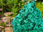 Natural Massive Silky Malachite Specimen x 1 From Kasompe, Congo - Toprock Gemstones and Minerals 
