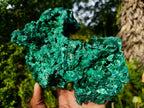 Natural XL Silky Malachite Specimen x 1 From Kasompe, Congo - Toprock Gemstones and Minerals 