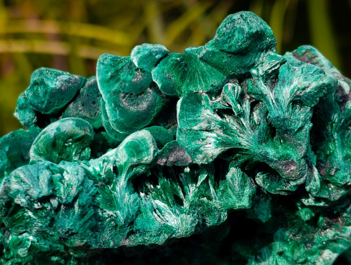 Natural XL Silky Malachite Specimen x 1 From Kasompe, Congo - Toprock Gemstones and Minerals 