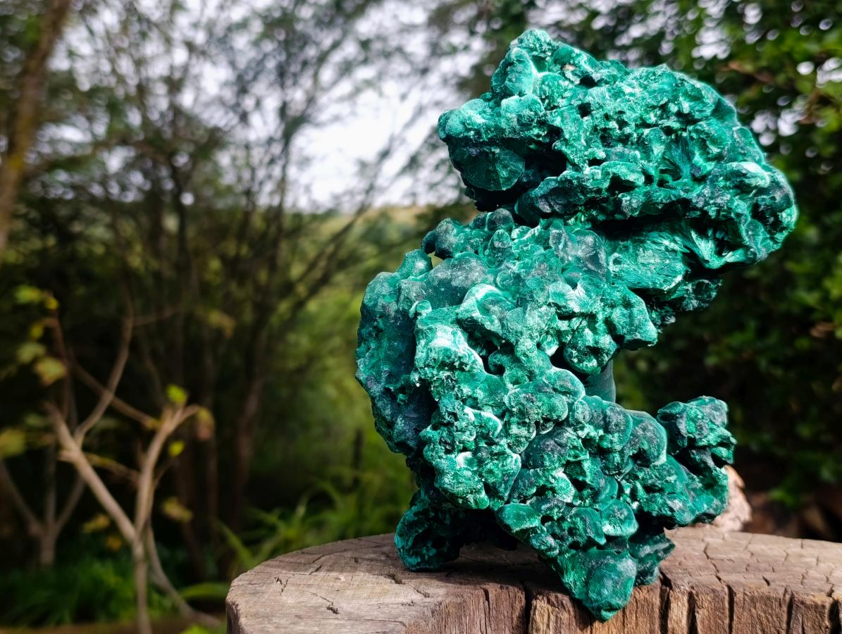 Natural XL Silky Malachite Specimen x 1 From Kasompe, Congo - Toprock Gemstones and Minerals 