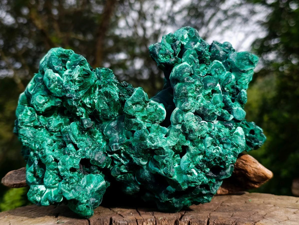 Natural XL Silky Malachite Specimen x 1 From Kasompe, Congo - Toprock Gemstones and Minerals 