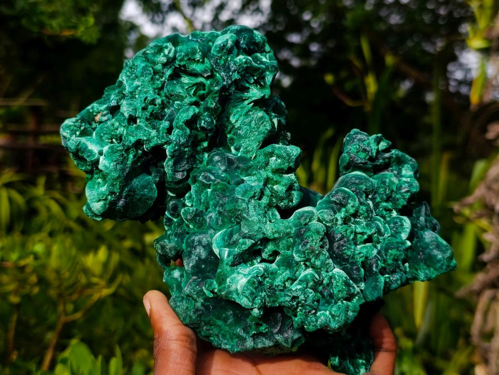 Natural XL Silky Malachite Specimen x 1 From Kasompe, Congo - Toprock Gemstones and Minerals 