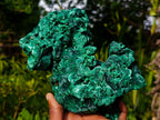 Natural XL Silky Malachite Specimen x 1 From Kasompe, Congo - Toprock Gemstones and Minerals 