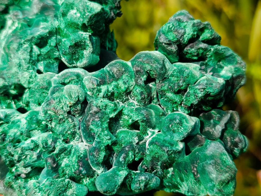 Natural XL Silky Malachite Specimen x 1 From Kasompe, Congo - Toprock Gemstones and Minerals 