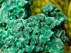 Natural XL Silky Malachite Specimen x 1 From Kasompe, Congo - Toprock Gemstones and Minerals 