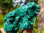 Natural XL Silky Malachite Specimen x 1 From Kasompe, Congo - Toprock Gemstones and Minerals 
