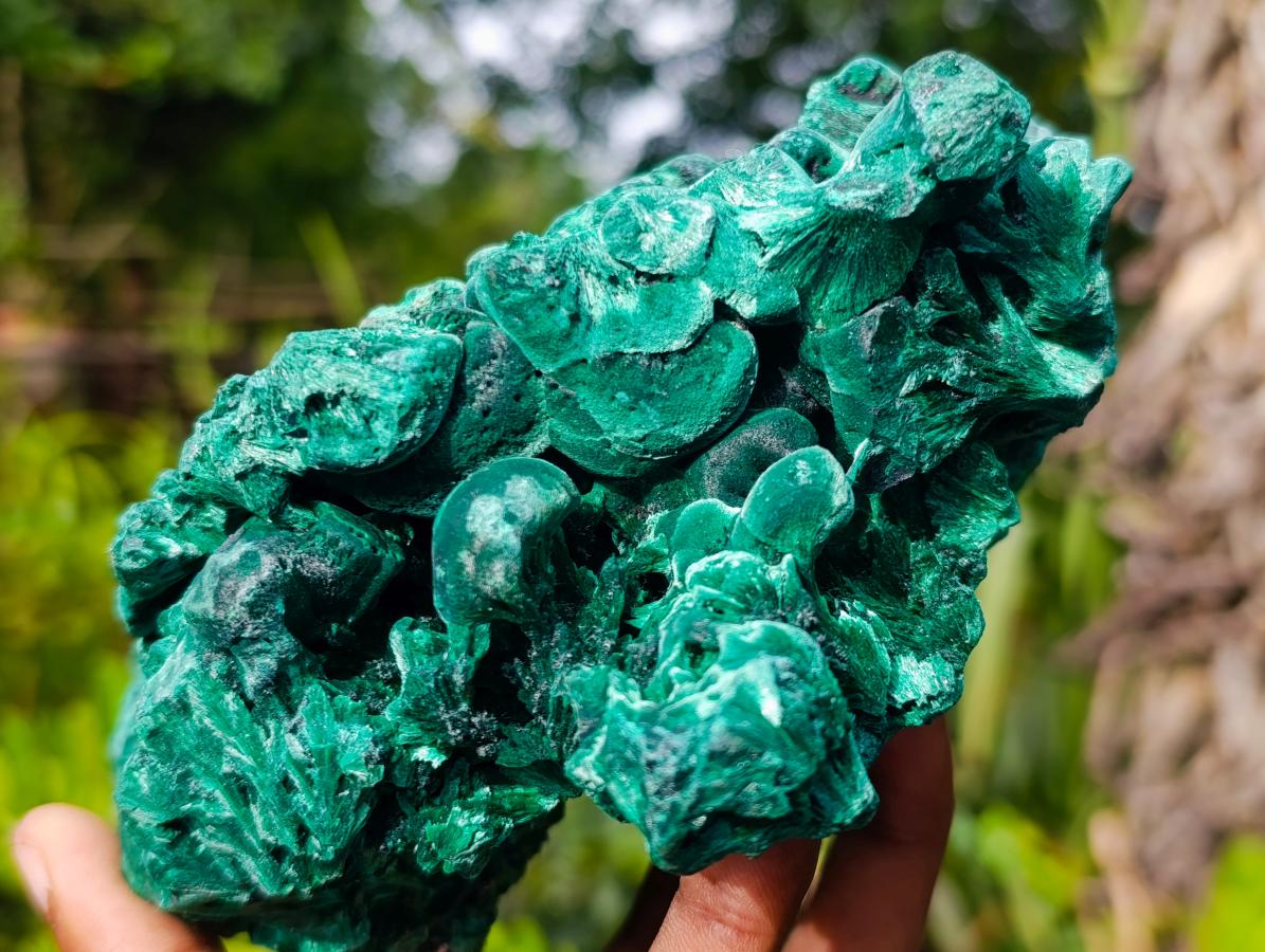 Natural XL Silky Malachite Specimen x 1 From Kasompe, Congo - Toprock Gemstones and Minerals 