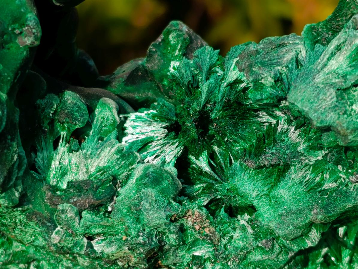 Natural XL Silky Malachite Specimen x 1 From Kasompe, Congo - Toprock Gemstones and Minerals 