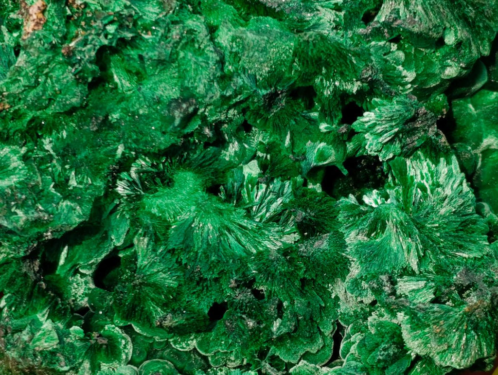 Natural XL Silky Malachite Specimen x 1 From Kasompe, Congo - Toprock Gemstones and Minerals 