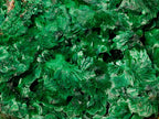 Natural XL Silky Malachite Specimen x 1 From Kasompe, Congo - Toprock Gemstones and Minerals 