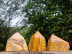Polished Picture Stone Jasper Display Crystals x 3 From Ais-Ais, Namibia - Toprock Gemstones and Minerals 