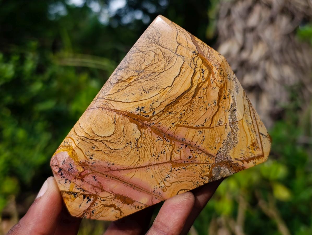 Polished Picture Stone Jasper Display Crystals x 3 From Ais-Ais, Namibia - Toprock Gemstones and Minerals 