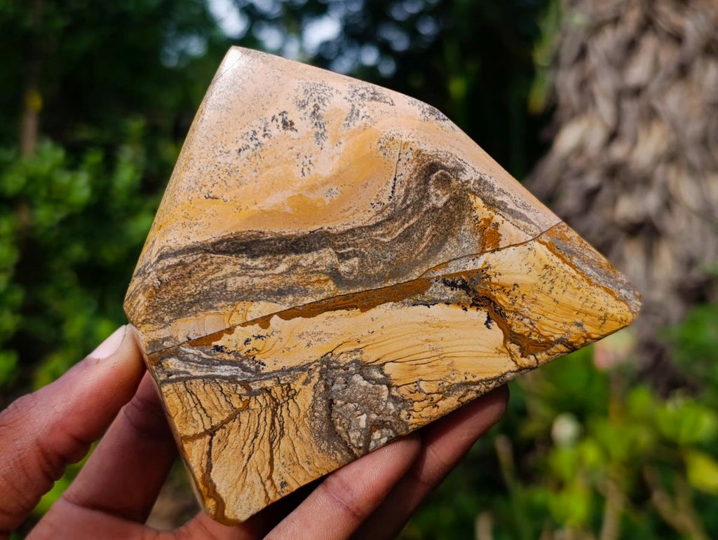 Polished Picture Stone Jasper Display Crystals x 3 From Ais-Ais, Namibia - Toprock Gemstones and Minerals 