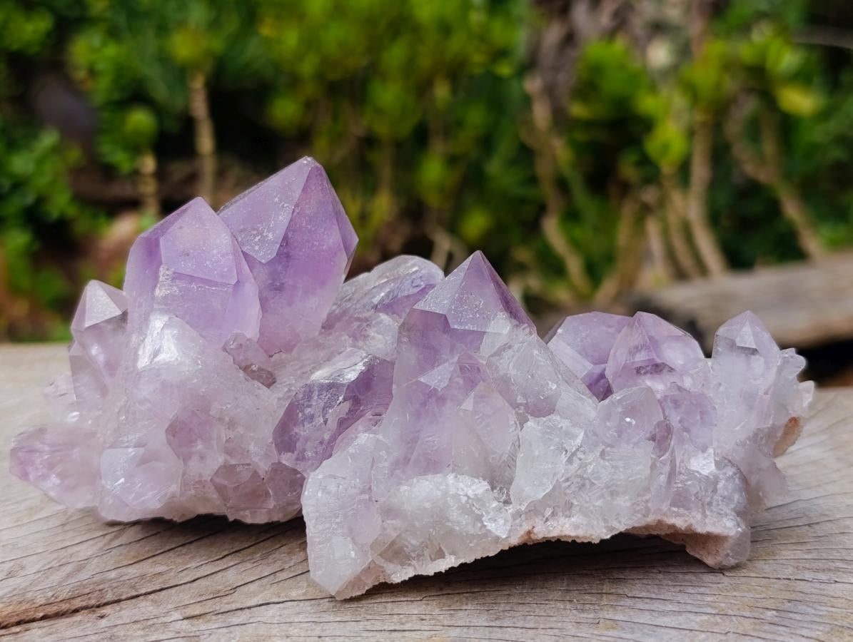 Natural Jacaranda Amethyst Crystals and Clusters x 6 From Mumbwa, Zambia - Toprock Gemstones and Minerals 