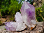 Natural Jacaranda Amethyst Crystals and Clusters x 6 From Mumbwa, Zambia - Toprock Gemstones and Minerals 