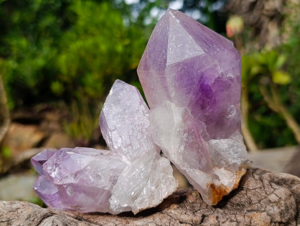 Natural Jacaranda Amethyst Crystals and Clusters x 6 From Mumbwa, Zambia - Toprock Gemstones and Minerals 