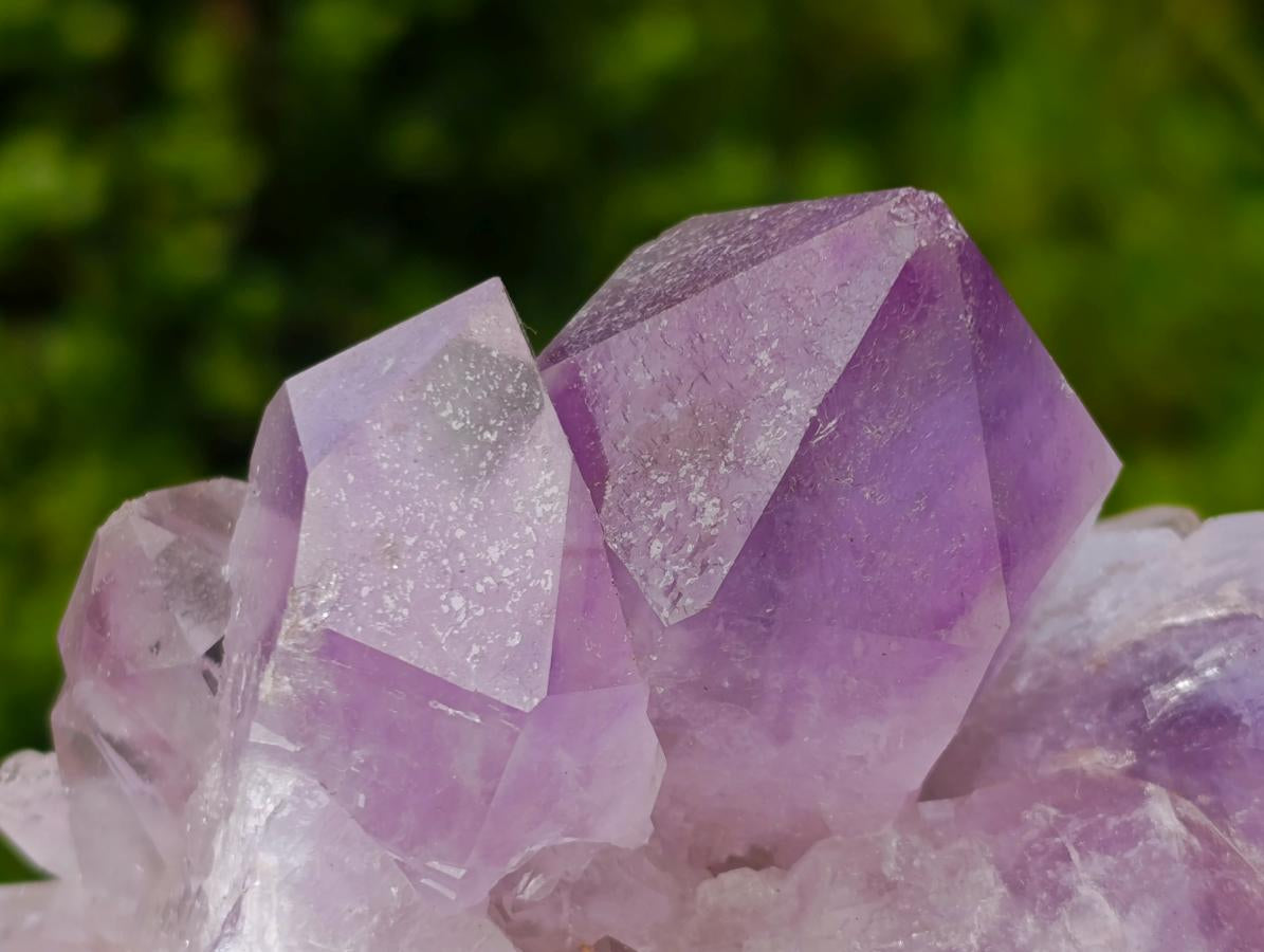 Natural Jacaranda Amethyst Crystals and Clusters x 6 From Mumbwa, Zambia - Toprock Gemstones and Minerals 