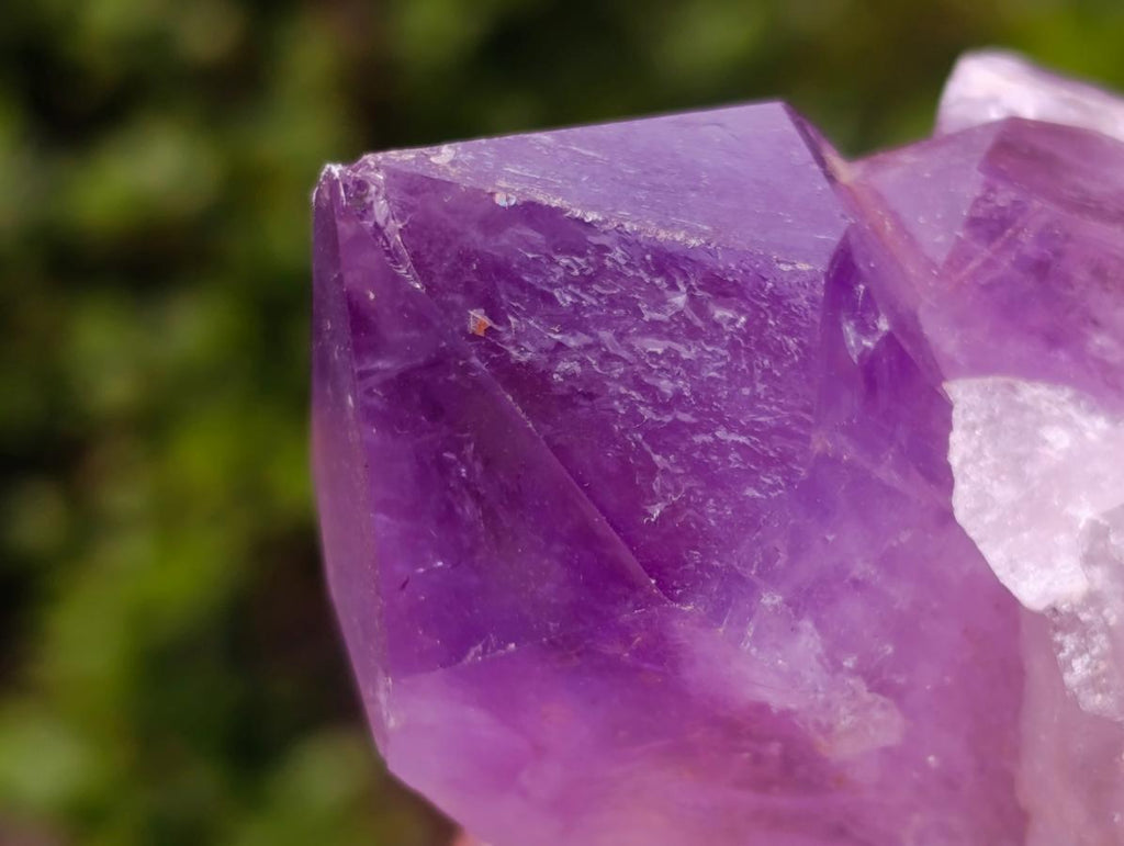 Natural Jacaranda Amethyst Crystals and Clusters x 6 From Mumbwa, Zambia - Toprock Gemstones and Minerals 