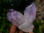 Natural Jacaranda Amethyst Crystals and Clusters x 6 From Mumbwa, Zambia - Toprock Gemstones and Minerals 