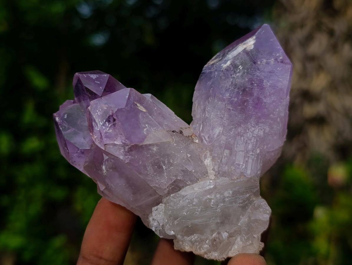 Natural Jacaranda Amethyst Crystals and Clusters x 6 From Mumbwa, Zambia - Toprock Gemstones and Minerals 