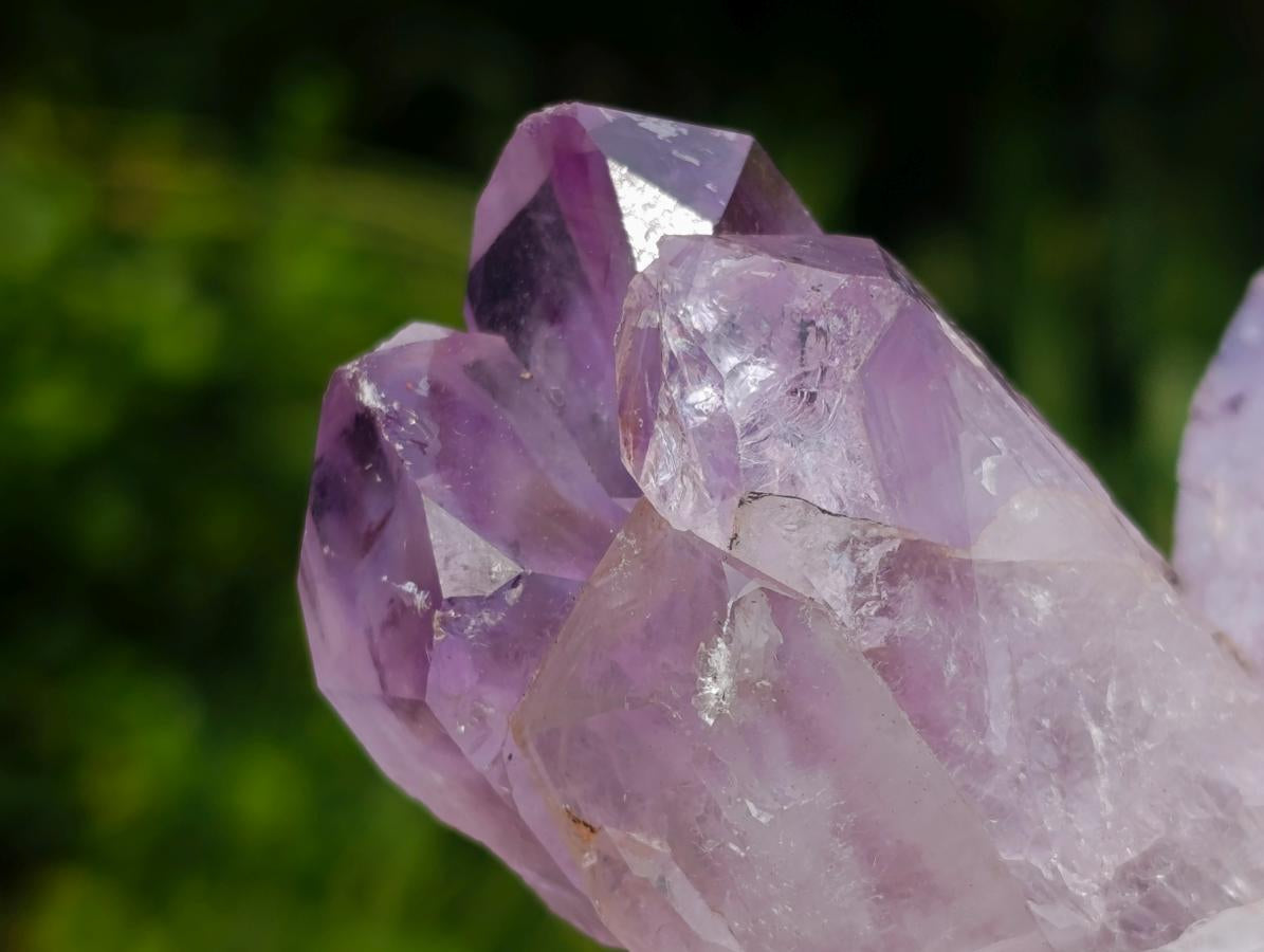 Natural Jacaranda Amethyst Crystals and Clusters x 6 From Mumbwa, Zambia - Toprock Gemstones and Minerals 