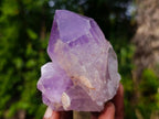 Natural Jacaranda Amethyst Crystals and Clusters x 6 From Mumbwa, Zambia - Toprock Gemstones and Minerals 