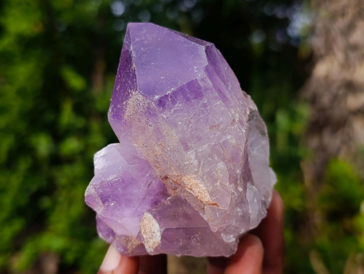Natural Jacaranda Amethyst Crystals and Clusters x 6 From Mumbwa, Zambia - Toprock Gemstones and Minerals 