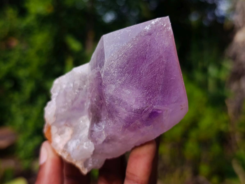 Natural Jacaranda Amethyst Crystals and Clusters x 6 From Mumbwa, Zambia - Toprock Gemstones and Minerals 