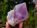 Natural Jacaranda Amethyst Crystals and Clusters x 6 From Mumbwa, Zambia - Toprock Gemstones and Minerals 