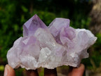 Natural Jacaranda Amethyst Crystals and Clusters x 6 From Mumbwa, Zambia - Toprock Gemstones and Minerals 
